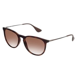 Ray Ban Erika 4171 865/13 54