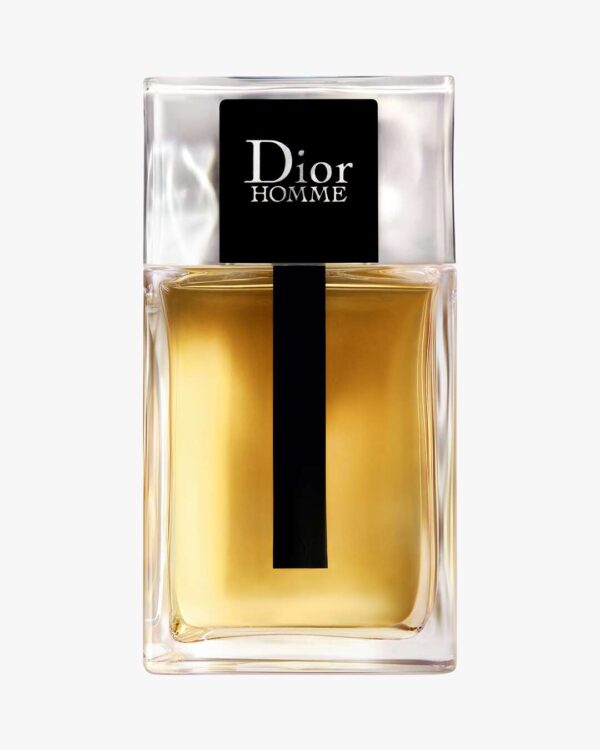 Dior Homme EdT (Størrelse: 100 ML)