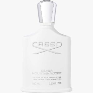 Silver Mountain Water (Størrelse: 100 ML)