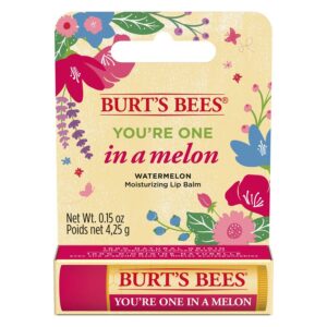 Burt&apos;s Bees You´re One In A Melon Lip Balm 4