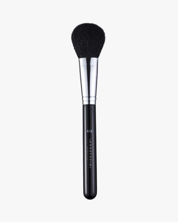 A19 Pro Brush - Blush Brush