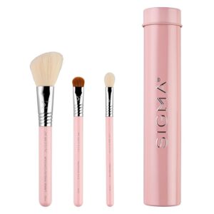 Sigma Essential Trio Brush Set Light Pink 3pcs