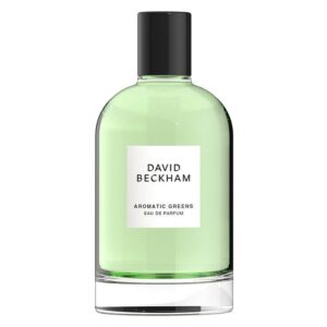 David Beckham Aromatic Greens Eau De Parfum 100ml