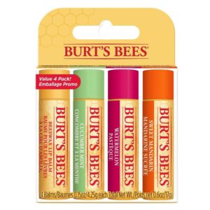 Burt&apos;s Bees Lip Balm 4 Pack Freshly Picked 4pcs