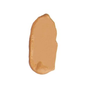 Anne T. Dote Tinted Moisturizer