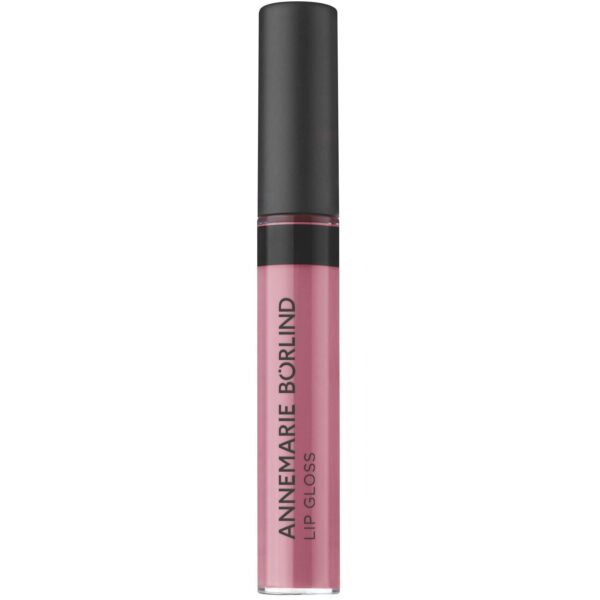 Annemarie Börlind Lip Gloss Dewy Rosé