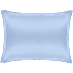 Cloud & Glow Spring Collection Silk Pillowcase  Sky Blue