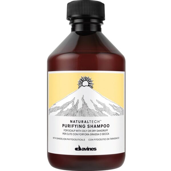 Davines Naturaltech Purifying Shampoo 250 ml