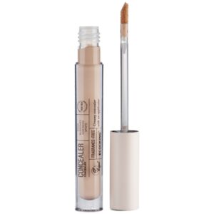 Ecooking Concealer 01