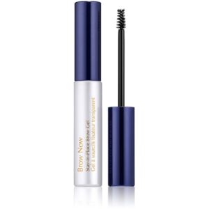 Estée Lauder Brow Now Stay-in-Place Brow Gel Clear