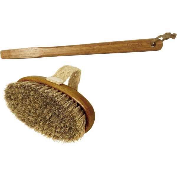 Hydréa London Bamboo Bath Brush with Mane & Cactus Bristle