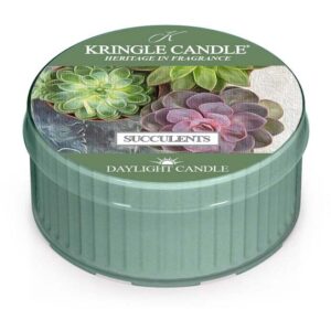 Kringle Candle Daylight Succulents 42 g