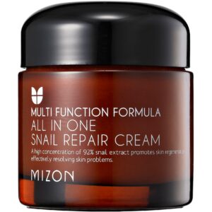 Mizon All In One Snail Repair Cream 75 ml