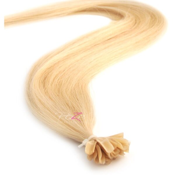 Poze Hairextensions Poze Keratin Standar d 50 cm 2 0 fester 12NA Plati