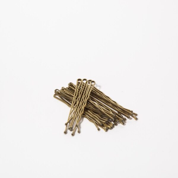 Rapunzel of Sweden Accessories Bobbypin -  20-pack