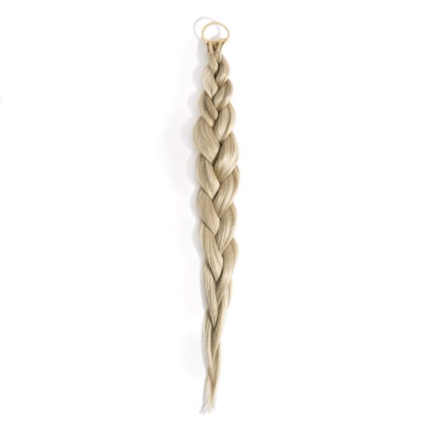 Rapunzel of Sweden Hair pieces Easy Braid 55 cm M7.3/10.8 Cendre Ash B