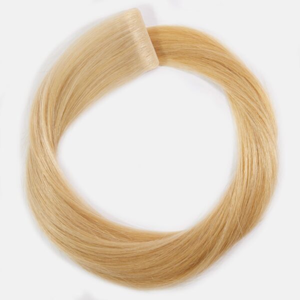 Rapunzel of Sweden Tape-on extensions Premium Tape Extensions Seamless