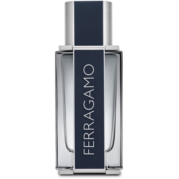 Salvatore Ferragamo Ferragamo Men Eau de Toilette 50 ml