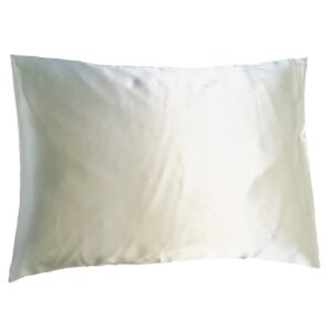 Soft Cloud mulberry silk pillowcase  champagne