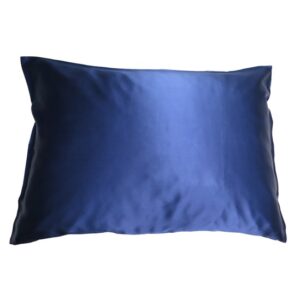 Soft Cloud mulberry silk pillowcase  navy