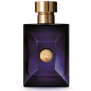 Versace Dylan Blue Eau de Toilette 100 ml