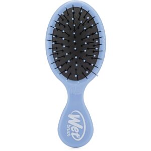 WetBrush   Mini Detangler Sky