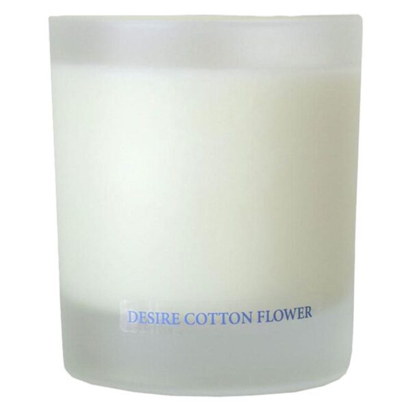 Washologi Soy Wax Candle Desire 300g