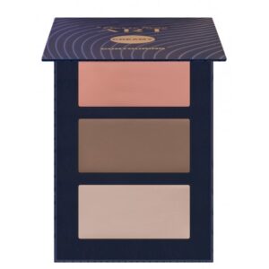 Pierre Rene Cream Contouring Palette No 04