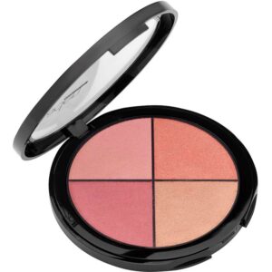 Aden Blusher Palette