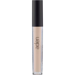 Aden Liquid Concealer Light 01