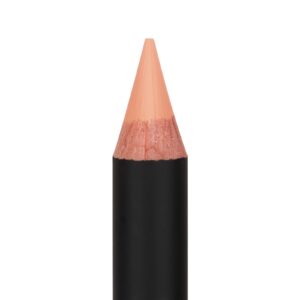 Anastasia Beverly Hills Pro Pencil Base 2