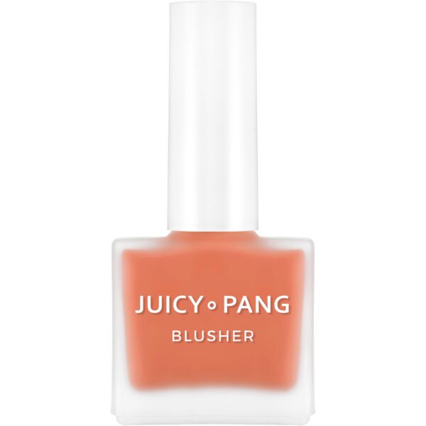 A&apos;Pieu Juicy-Pang Water Blusher Cr02