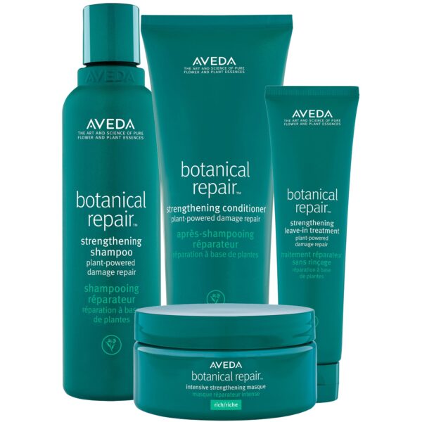 Aveda Botanical Repair Set