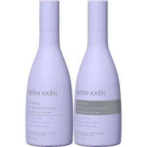 Björn Axen Cool Blonde Coloring Silver Standard STANDARD