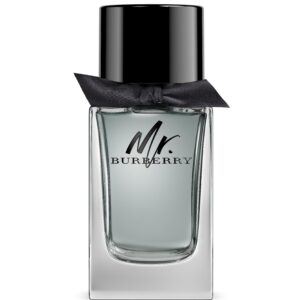 Burberry Mr Burberry EdT 100 ml