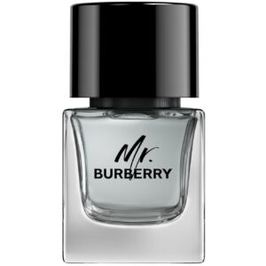 Burberry Mr Burberry EdT 50 ml