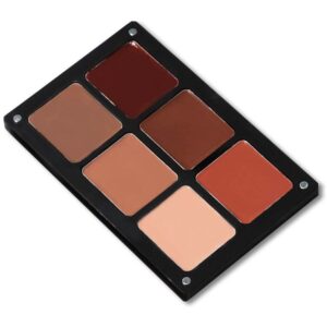 Danessa Myricks Beauty Waterproof Cream Palette Essentials