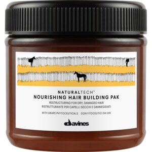 Davines Naturaltech Nourishing Hair Building Pak 250 ml