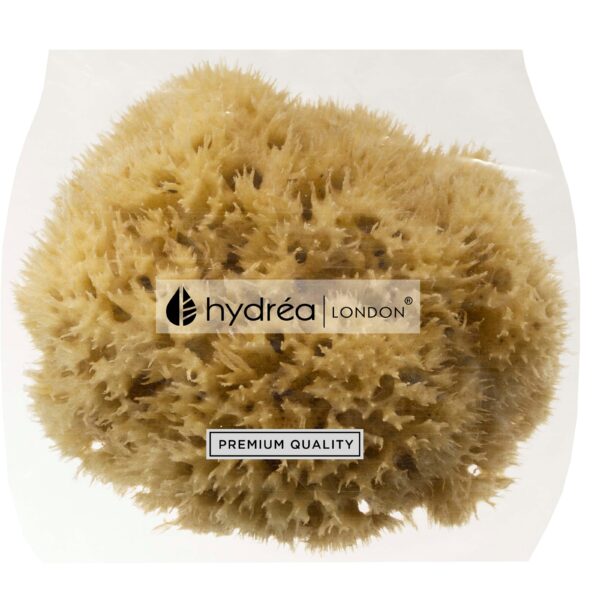 Hydréa London Honeycomb Sea Sponge