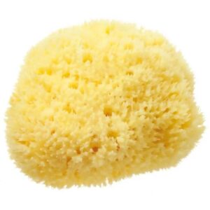 Hydréa London Sea Sponge