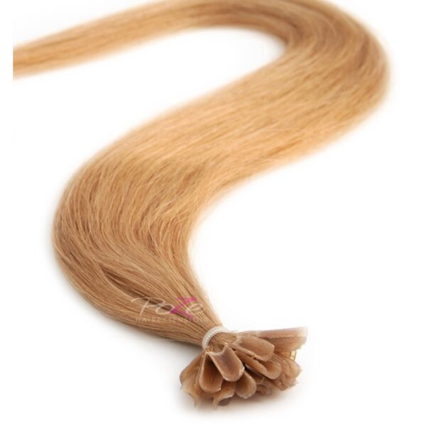 Poze Hairextensions Poze Keratin Premium Extensions 10B Sand Blonde 20