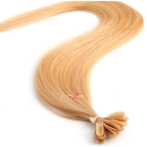 Poze Hairextensions Poze Keratin Premium Extensions 11V Beach Blonde 2