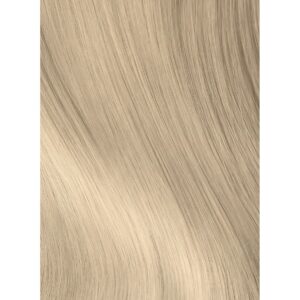 Revlon Color Excel Toning Color 10.01