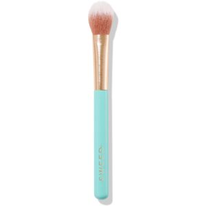 Sweed 6 Highlighter Brush