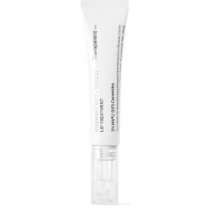 NICHE BEAUTY LAB Transparent Lab Overnight Soft + Smooth Lip Treatment