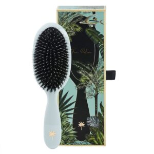 Fan Palm Hair Brush Maldives Medium