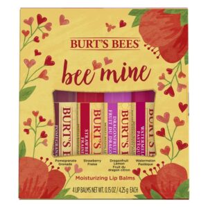 Burt&apos;s Bees Bee Mine Lip Balm 4pcs