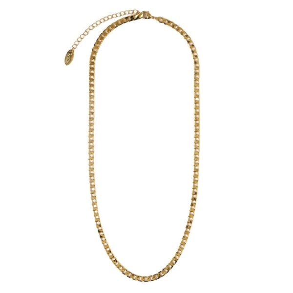 Orelia Jewellery Flat Link Curb Chain Necklace