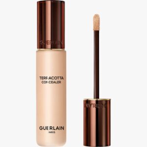 Terracotta Concealer 11