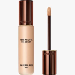 Terracotta Concealer 11